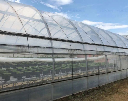 Greenhouse Film